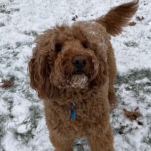 Profile photo of Charlotte